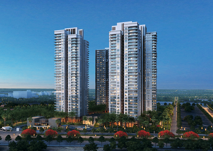 DLF The Camellias