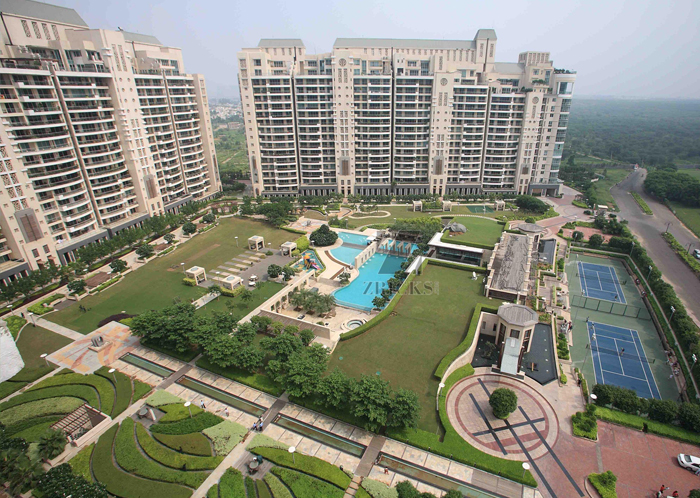 DLF The Camellias