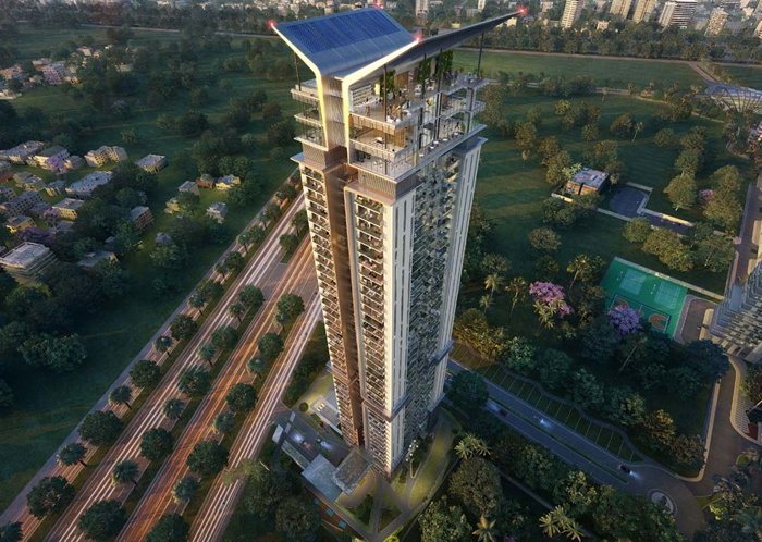 DLF The Camellias