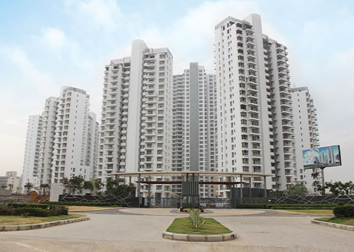 DLF The Camellias