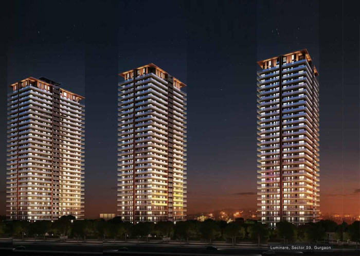 DLF The Camellias