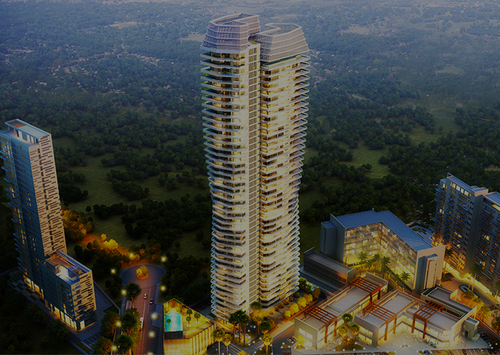 DLF The Camellias